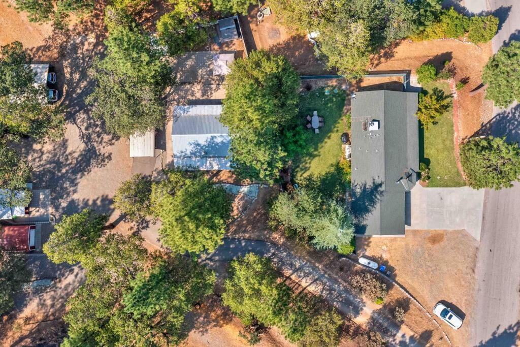 Acorn Cottage - Hidden Gem In Green Heaven, Getaway To Bass Lake & Yosemite Oakhurst Bagian luar foto